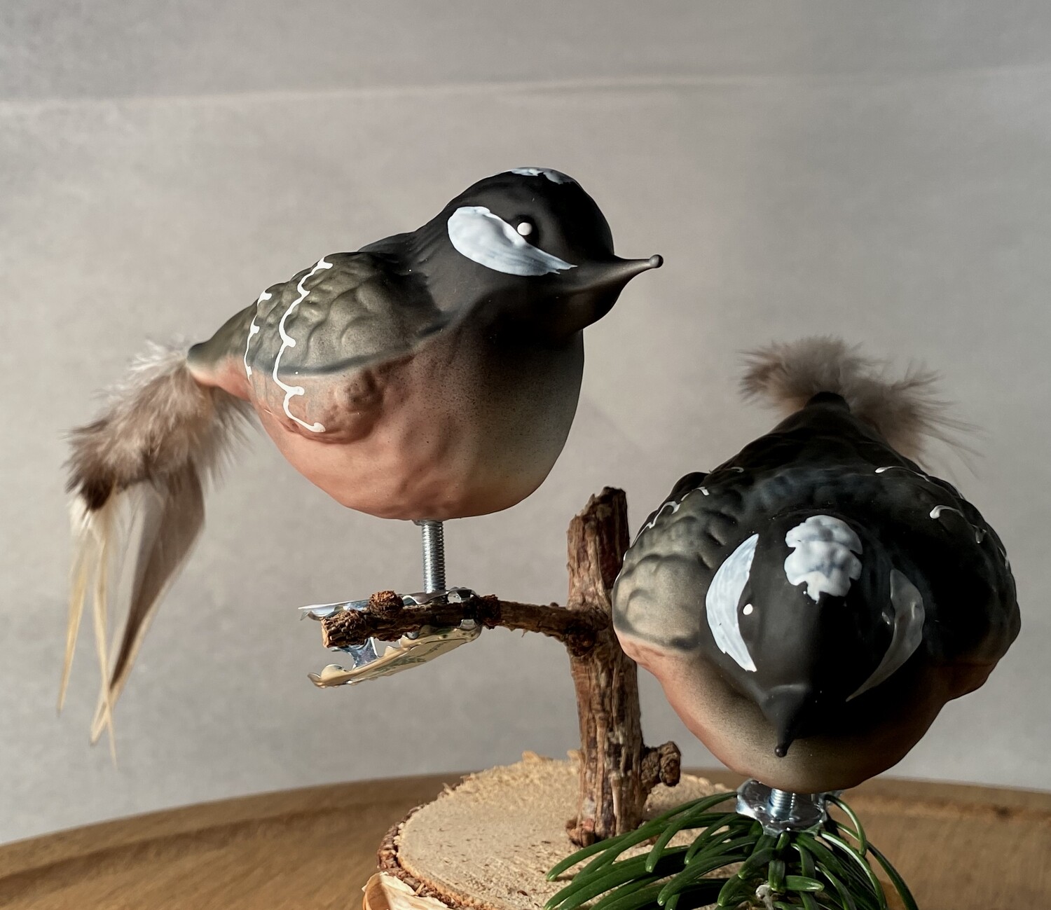 Skovspurv - Havens Fugle
