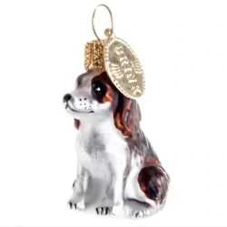 Mini hund