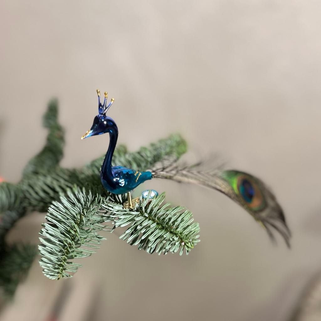Påfugl