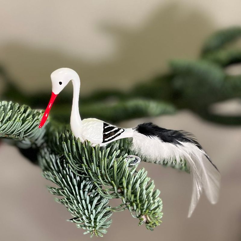 Stork