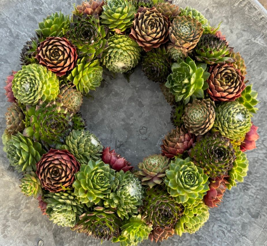 Workshop kun husløgkranse tirsdag 28. oktober kl. 13.00 - 15.00