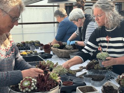 Workshops med husløg