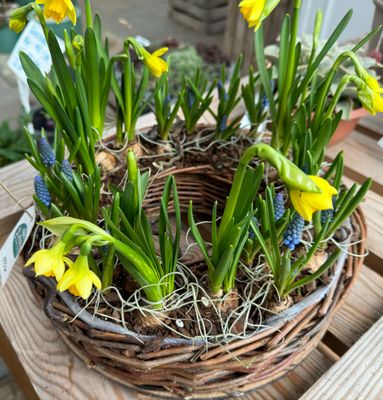 Værksted forår 2026