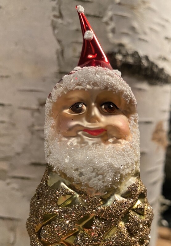 Kogle Nisse - Magisk Skov