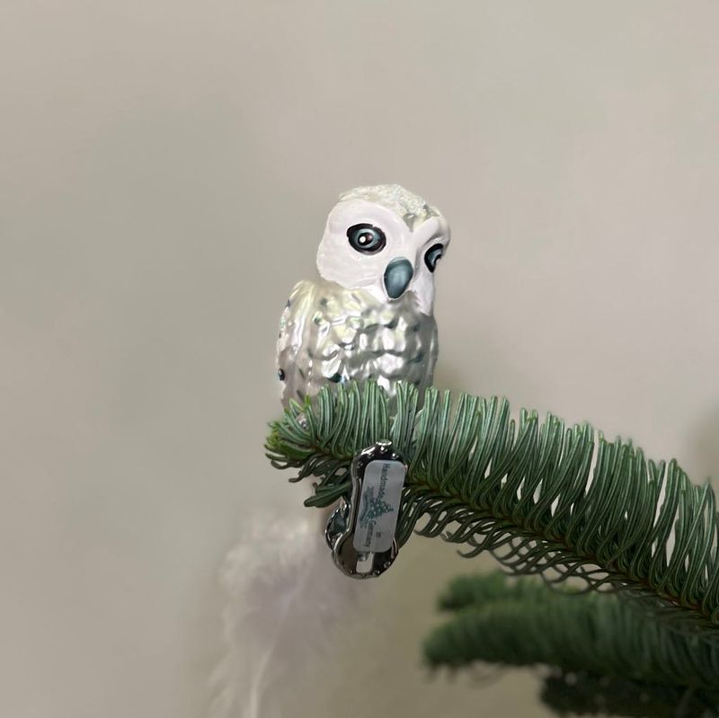 Sneugle Sneugle