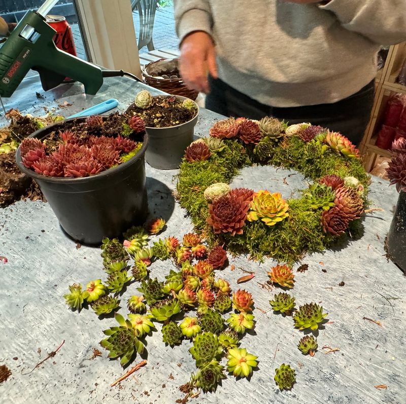 Workshop Husløgkrans lørdag 10. oktober kl. 9.00 - 11.30