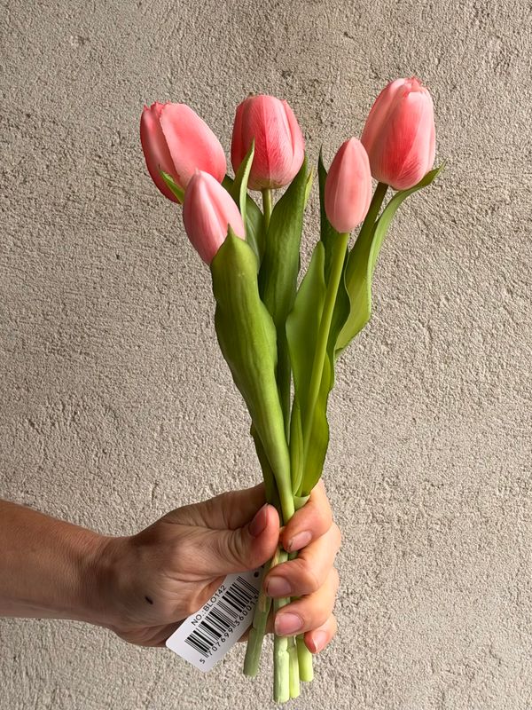 Tulipaner - lyserøde