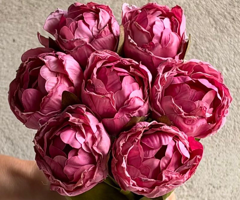 Tulipaner Pink - silke