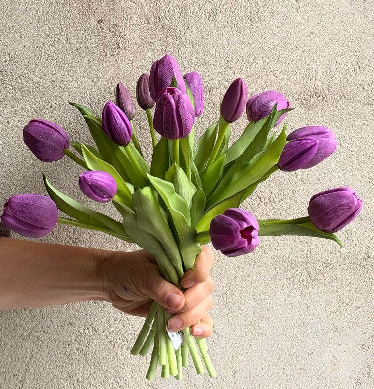 Tulipaner - lilla