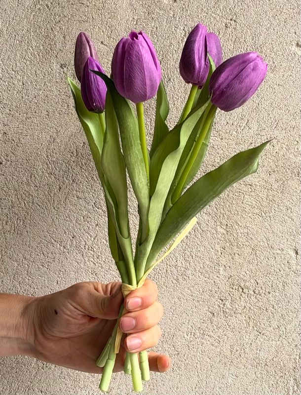 Tulipaner - lilla