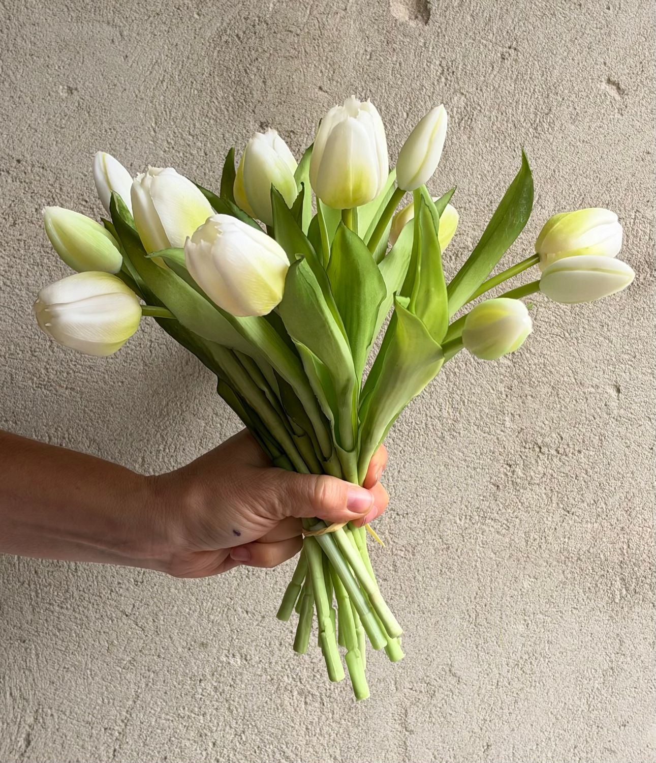 Tulipaner - Hvide