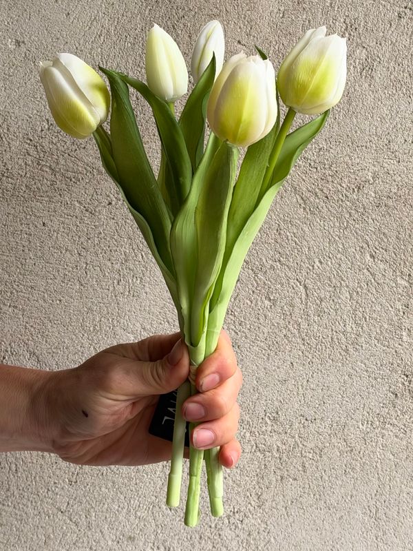 Tulipaner - Hvide