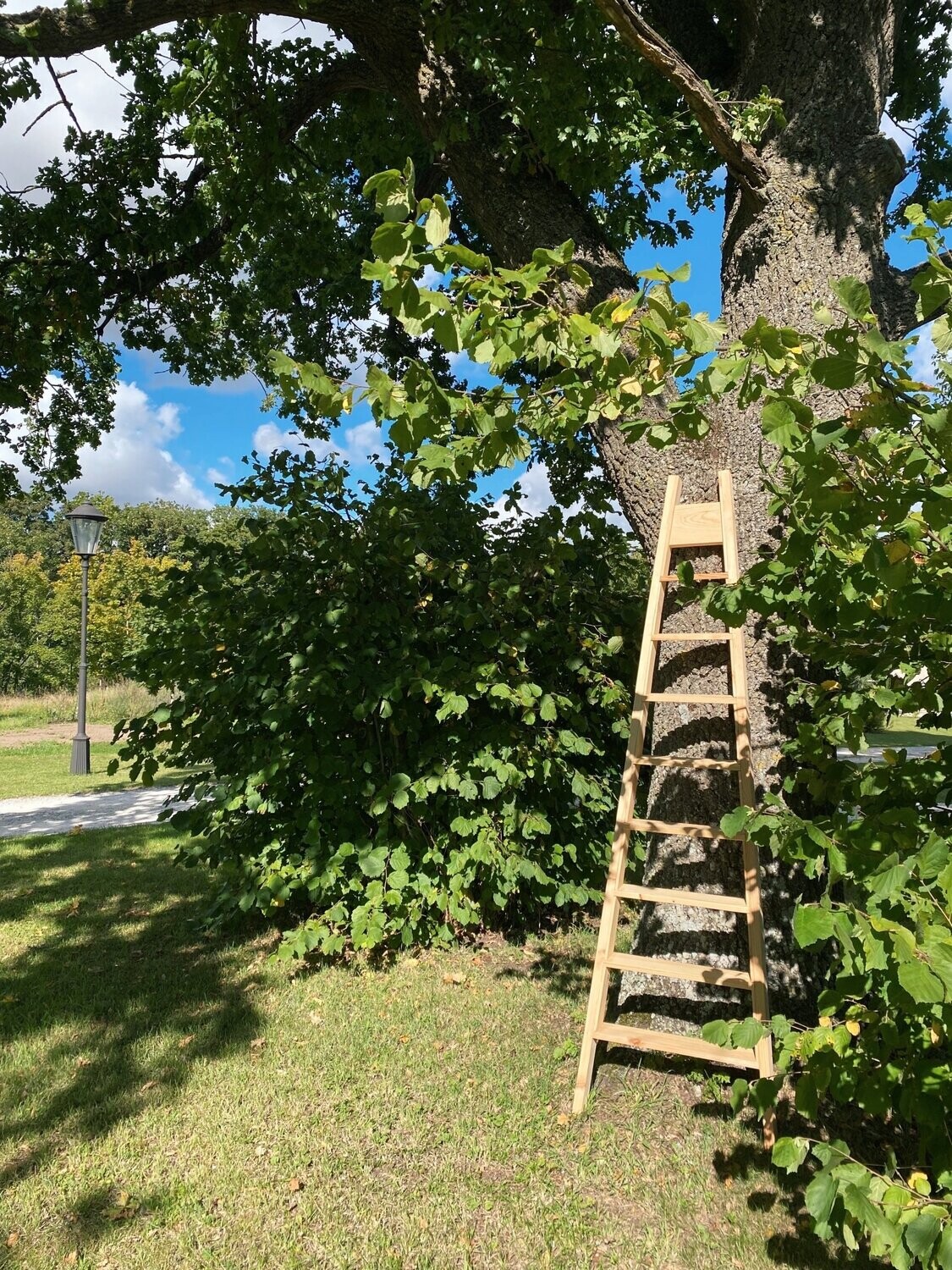 Äppelstege