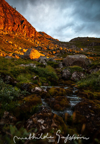 Art Print, Landscape 20 x 30 (choose your own landscape from website)