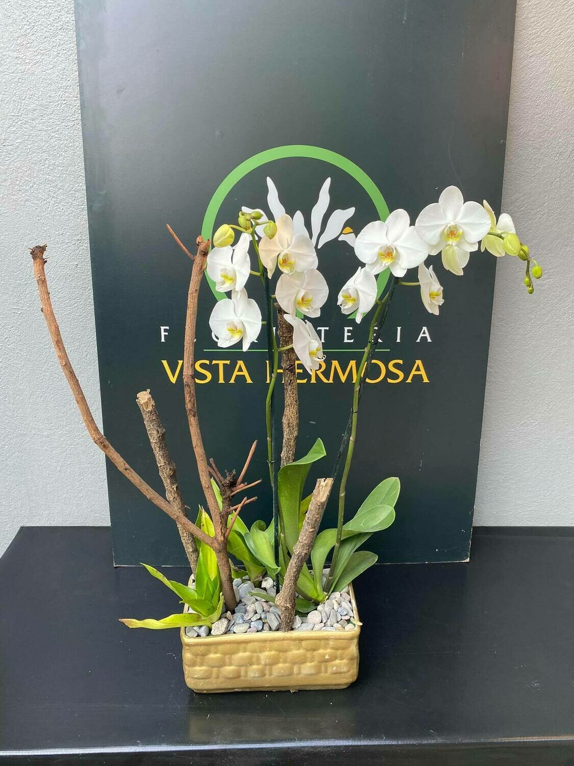 ORQUÍDEA BLANCA CON BASE DORADA