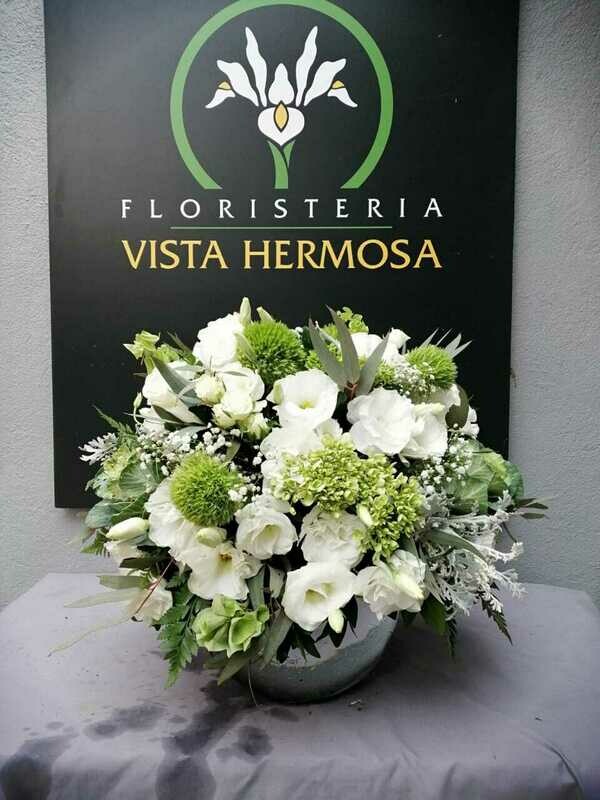 PECERA DE LISIANTHUS
