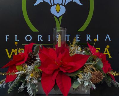 NAVIDEÑOS