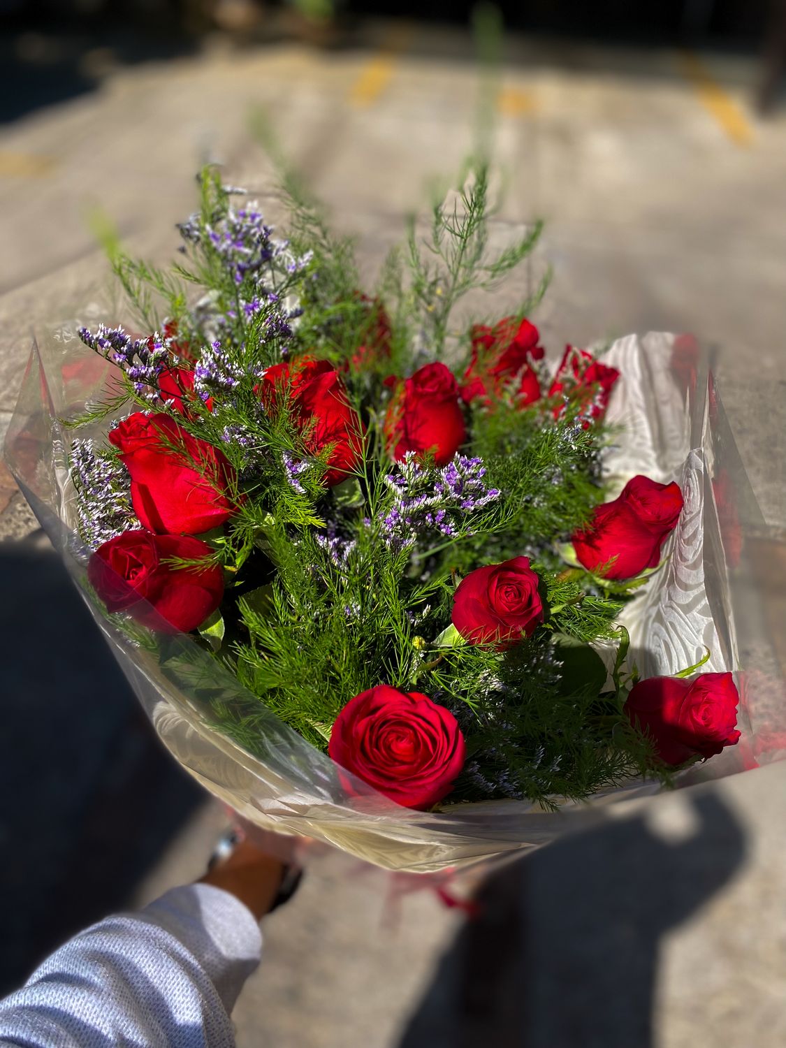 DOCENA DE ROSAS ROJAS