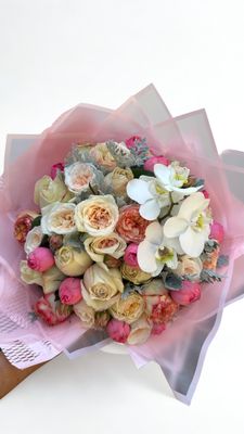 Graduaciones &amp; logros