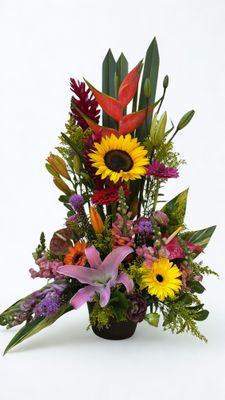 Fresh Picks de la semana