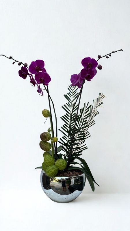 Orquídea en pecera.