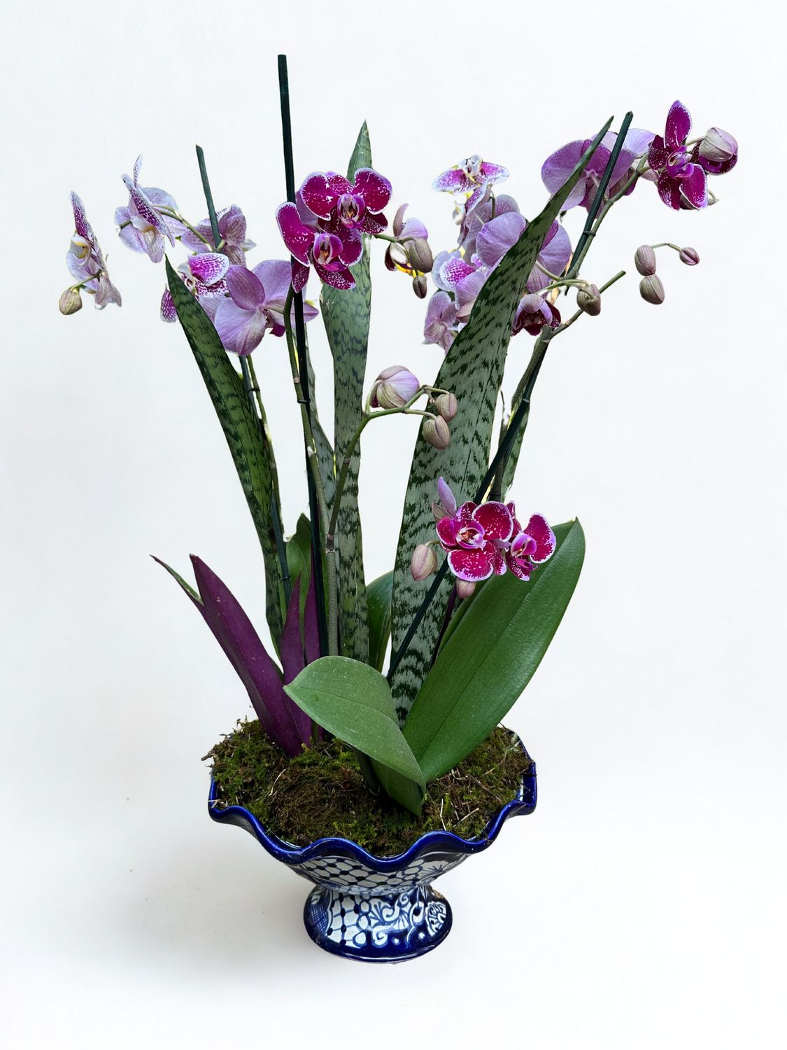 Orquídea estilizada