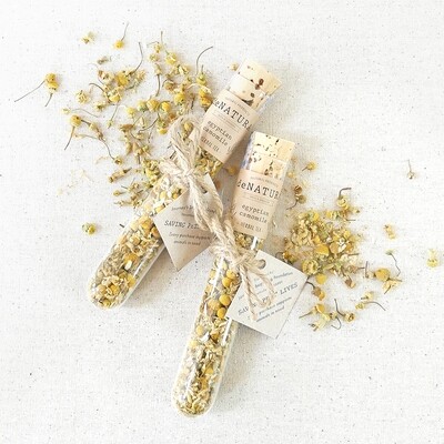 Egyptian Camomile - Herbal Tisane - Single Glass Tube