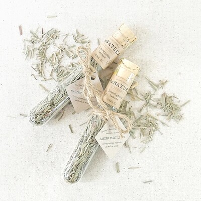 Lemongrass - Herbal Tisane - Single Glass Tube