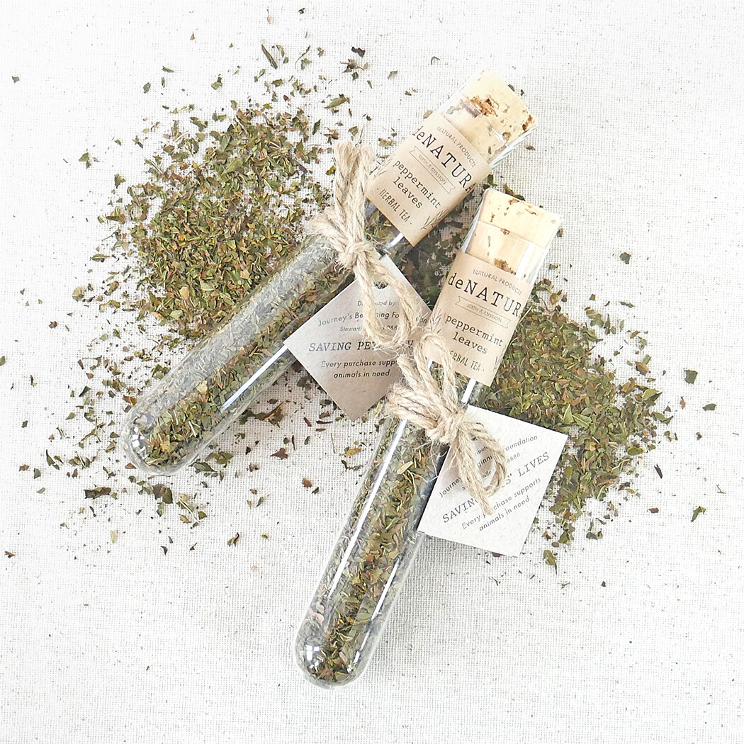 Peppermint - Herbal Tisane - Single Glass Tube