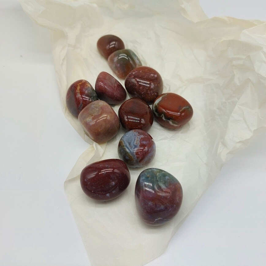 Chalcedon rot