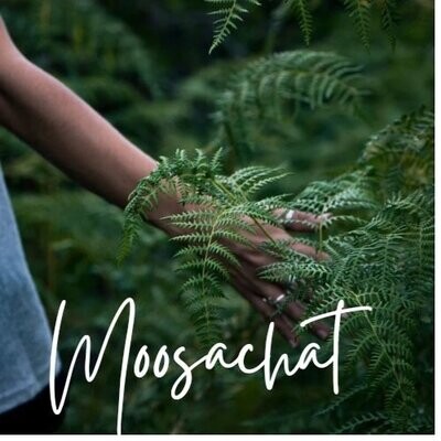 Moosachat Edelstein-Reise