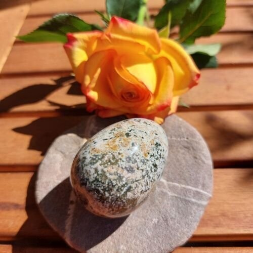 Ozeanjaspis-Ei Ozeanjaspis-Ei