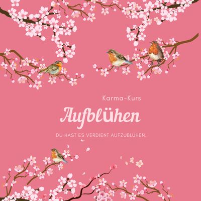 Aufblühen - Begleitung zu Ursache und Wirkung Aufblühen - Begleitung zu Ursache und Wirkung