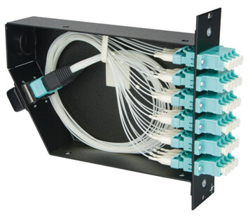 קסטה MPO/MTP ל-24 סיבים