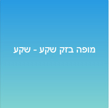 מופה בזק שקע - שקע