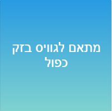 מתאם לגוויס בזק כפול