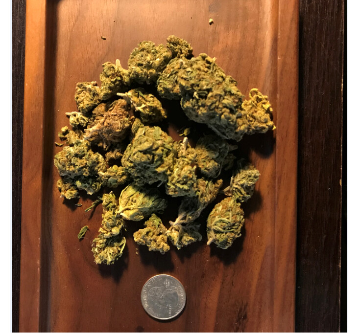 Bulk Hemp Flower - 14g