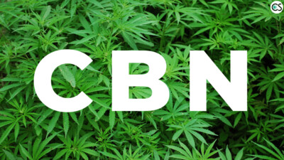 CBN Products