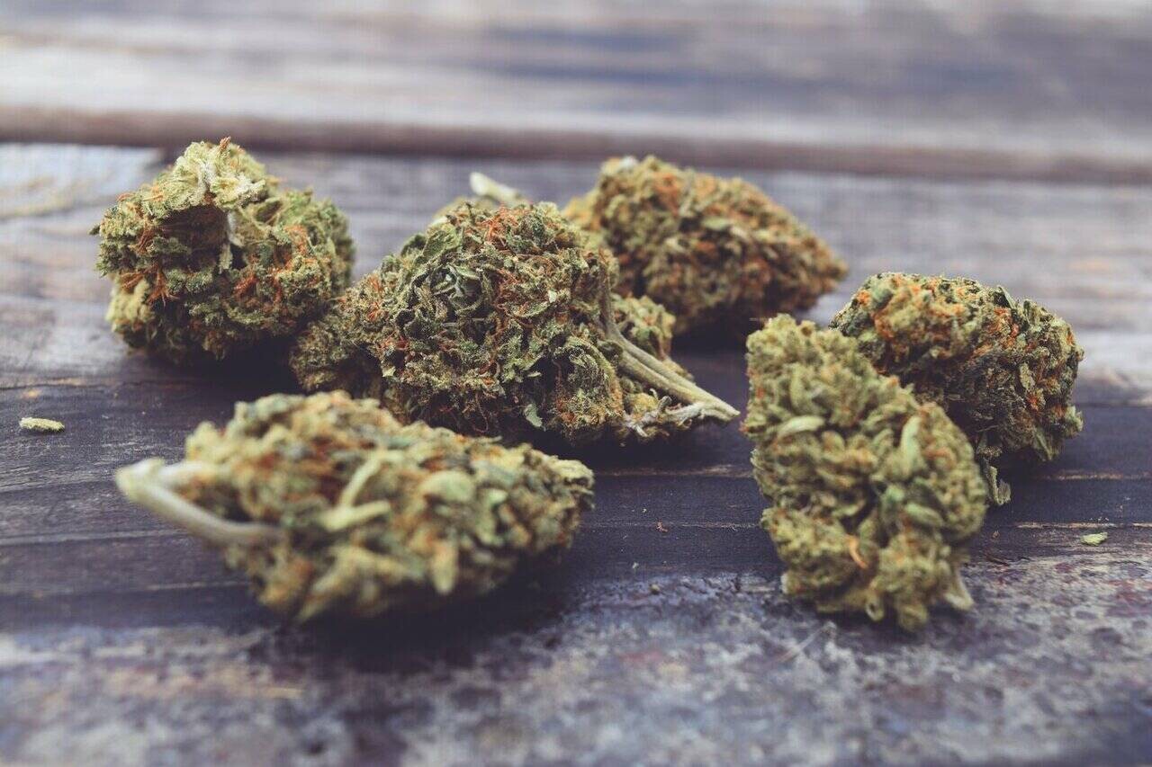 HHC Hemp Flower Small Buds (10 g) - JUICY FRUIT STRAIN