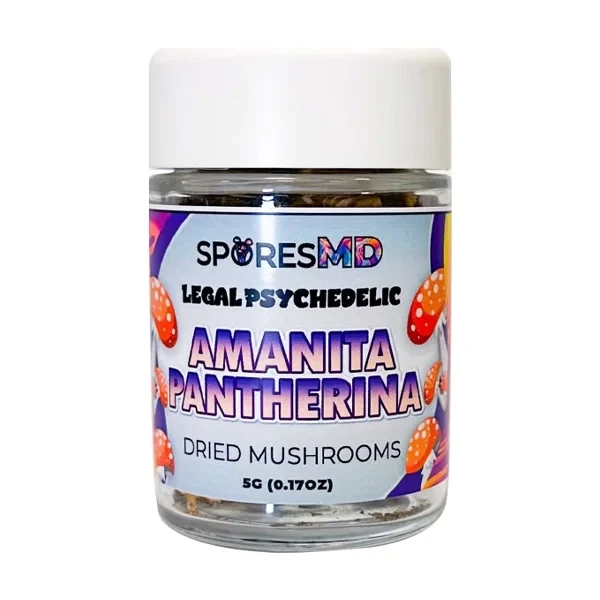 SporesMD - Psychedelic  AMANITA PANTHERINA Dried Mushroom Caps - 5 Grams