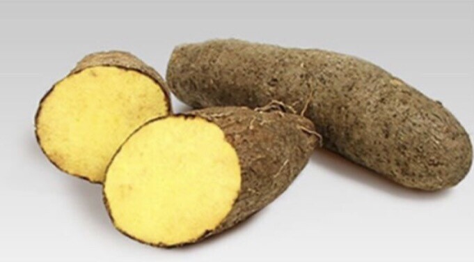 Yellow Yam