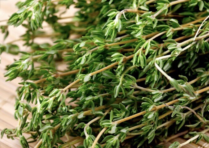 Thyme