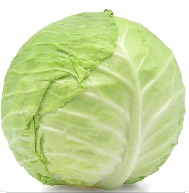 Cabbage