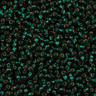 Silverlined Sz 10 Green