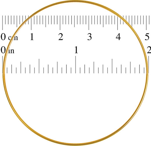  Brass Ring 2&quot;