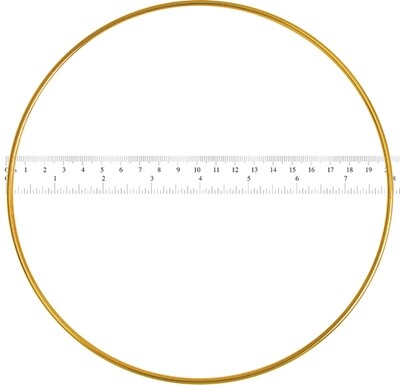 Brass Ring 10&quot;