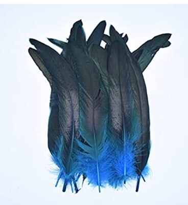 Feathers 4-5&quot; Blue Rooster