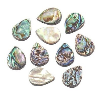 Abalone Teardrop 14mm 