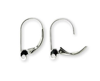 Leverback Earrings Stainless Steel 2 prs