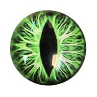 Cabochon 50m Glass Dragon Eye Green